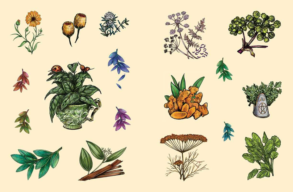 Green Witch's Sticker Book By Arin Murphy-Hiscock