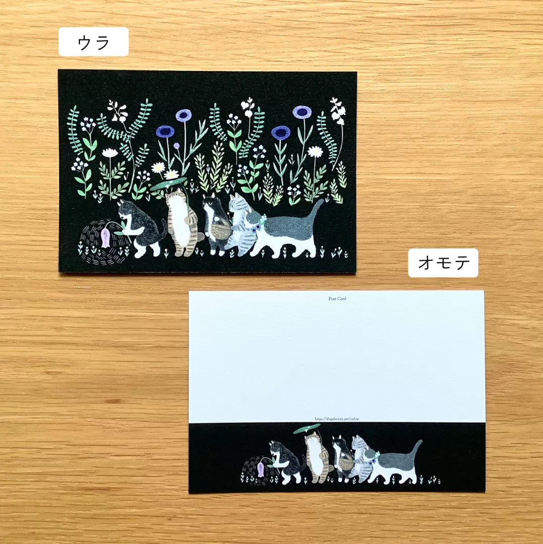 4legs Postcard - Invitation to Cat Land