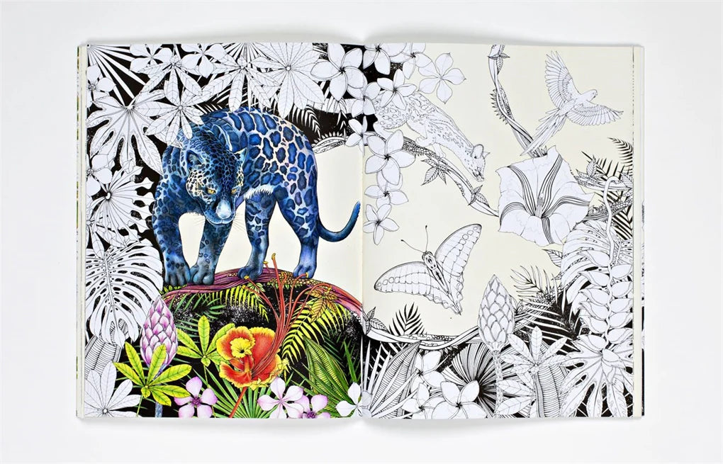 Journey through dream-like forest scenes, and encounter real and fabulous creatures in this gorgeous new coloring book by Daisy Fletcher, creator of Birdtopia. Beginning in a woodland world of otters, badgers, foxes, and deer, the pages gradually transport you deeper into a flower forest, a magical environment populated with rare and mythical animals such as caracals, squirrel monkeys, muntjacs, and ibex. Color your way through exotic and wonderful plants – Candy Cane Sorrel, Passion Flowers, and giant Cact
