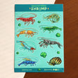 A sticker sheet full of various neocaridina shrimp, a dwarf lobster, nerite snail, and moss balls. 8 Total large stickers, and 6 moss ball stickers.

Waterproof vinyl sticker sheet, 5"x7"
14 Peelable stickers on each sheet
Durable and waterproof
Packaged in a clear plastic sleeve