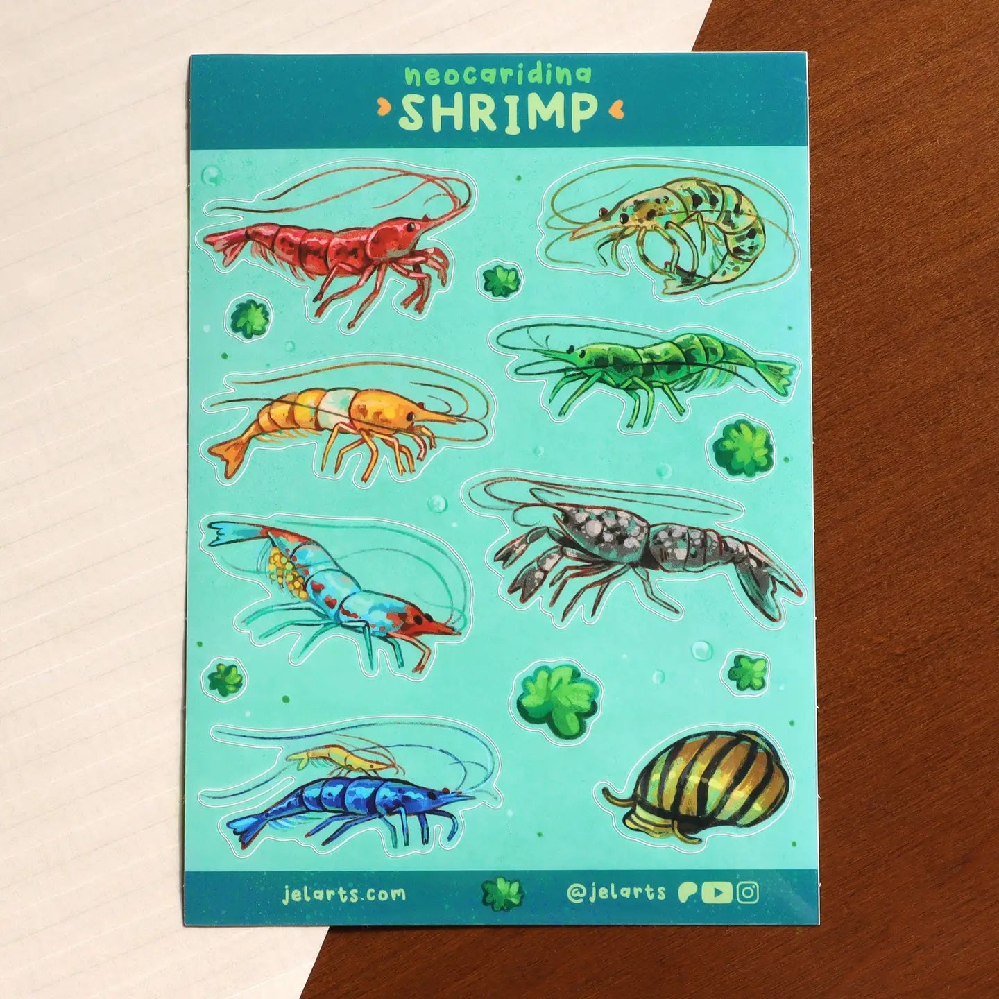 A sticker sheet full of various neocaridina shrimp, a dwarf lobster, nerite snail, and moss balls. 8 Total large stickers, and 6 moss ball stickers.

Waterproof vinyl sticker sheet, 5"x7"
14 Peelable stickers on each sheet
Durable and waterproof
Packaged in a clear plastic sleeve