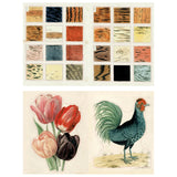 John Derian Sticker Book 2