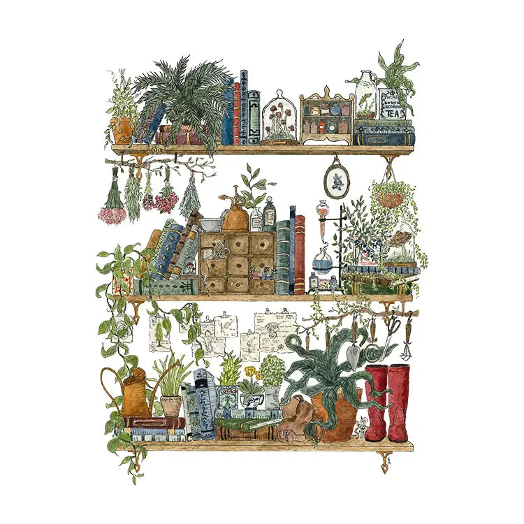 Lizzy Gass Postcard - The Botanist's Shelves

Postcard featuring my original watercolor and ink illustration of the vintage oddities and books tucked away in the shelves of a botanist, including lots of mushrooms, a tiny mouse, and red rain boots for traipsing through forests and fields to collect samples.

• Printed and cut in my studio on high quality, matte card using archival ink

• Each postcard measures 4.25 x 5.5" (A2)