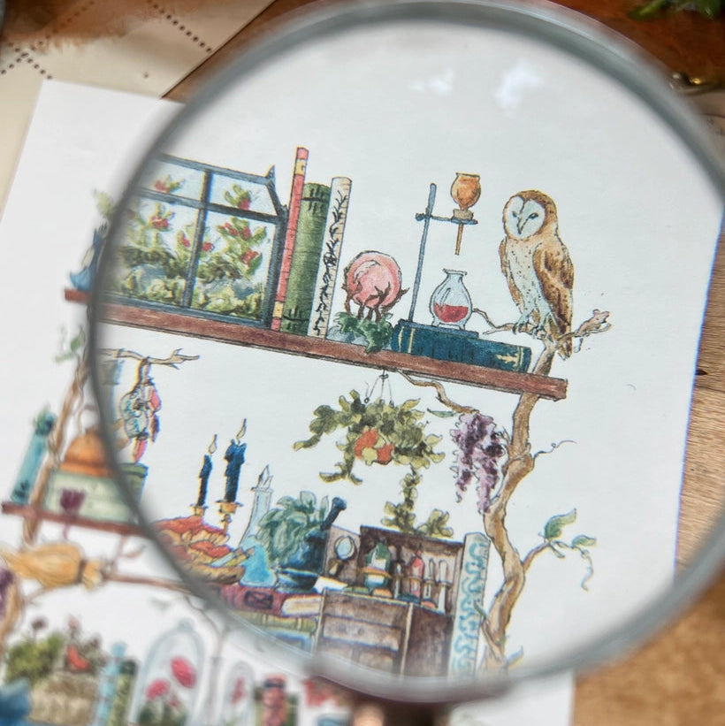 Postcard featuring my original watercolor and ink illustration of the oddities, books, and mushrooms tucked away in the shelves of a forest witch, including a mischievous raccoon, a wise owl, and a box of potions.