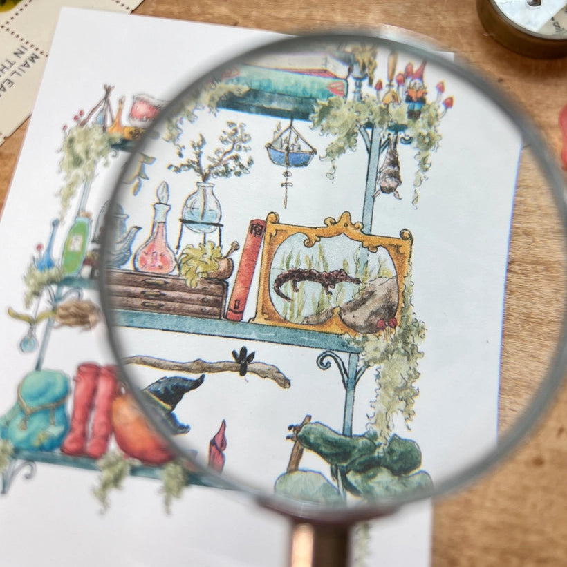 Postcard featuring my original watercolor and ink illustration of the oddities, books, tools, and trinkets tucked away in the shelves of a swamp witch, including an assortment of creatures brewing up a potion, and an alligator skull holding a crystal ball.