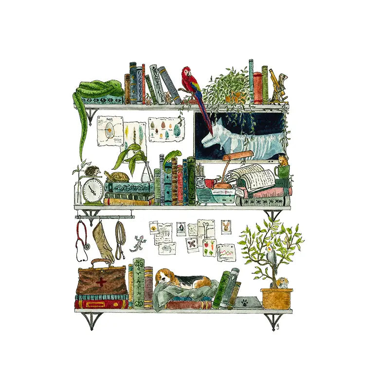 Postcard featuring my original watercolor and ink illustration of the vintage oddities and books tucked away in the shelves of a vet, including an opinionated parrot, a friendly turtle, and a napping beagle puppy.