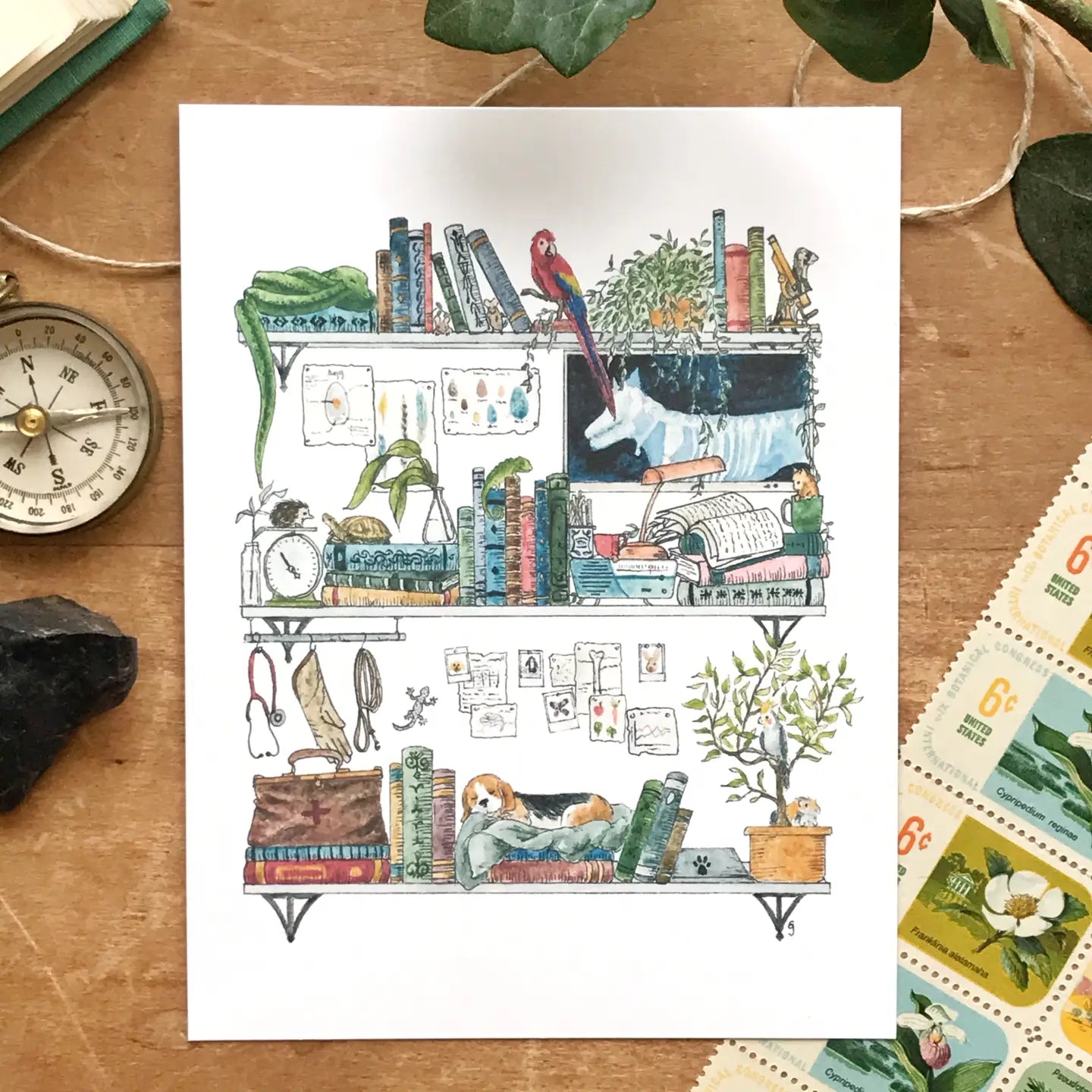 Postcard featuring my original watercolor and ink illustration of the vintage oddities and books tucked away in the shelves of a vet, including an opinionated parrot, a friendly turtle, and a napping beagle puppy.