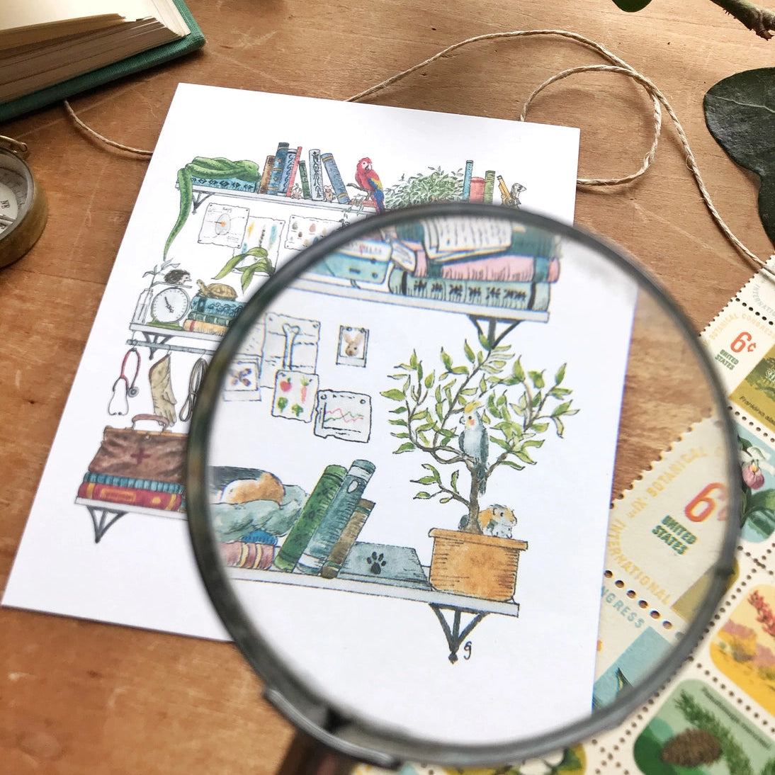 Postcard featuring my original watercolor and ink illustration of the vintage oddities and books tucked away in the shelves of a vet, including an opinionated parrot, a friendly turtle, and a napping beagle puppy.