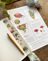 Cinta washi con motivos botánicos y herbarios mágicos