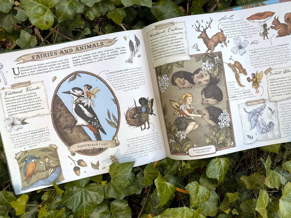 Featuring a gold foil–embossed cloth cover, a ribbon marker, and sprayed gold edges, this gorgeous volume is filled with colorful sketches and precise notes detailing the secret life of fairies and their important role in the natural world.

Inside, you will discover the wide and wonderful array of different species of fairies around the globe and explore where and how they live. Delight in this hidden world as you learn all about:

The anatomy of a fairy (Land-based fairies have individual, separated toes,