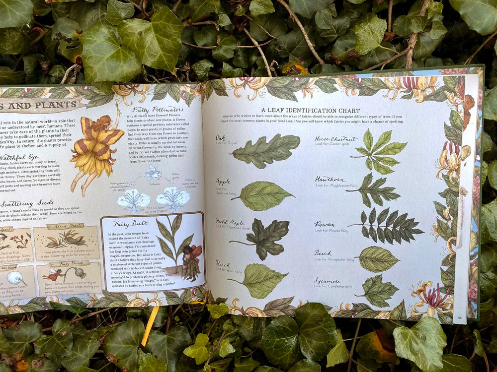 Featuring a gold foil–embossed cloth cover, a ribbon marker, and sprayed gold edges, this gorgeous volume is filled with colorful sketches and precise notes detailing the secret life of fairies and their important role in the natural world.

Inside, you will discover the wide and wonderful array of different species of fairies around the globe and explore where and how they live. Delight in this hidden world as you learn all about:

The anatomy of a fairy (Land-based fairies have individual, separated toes,