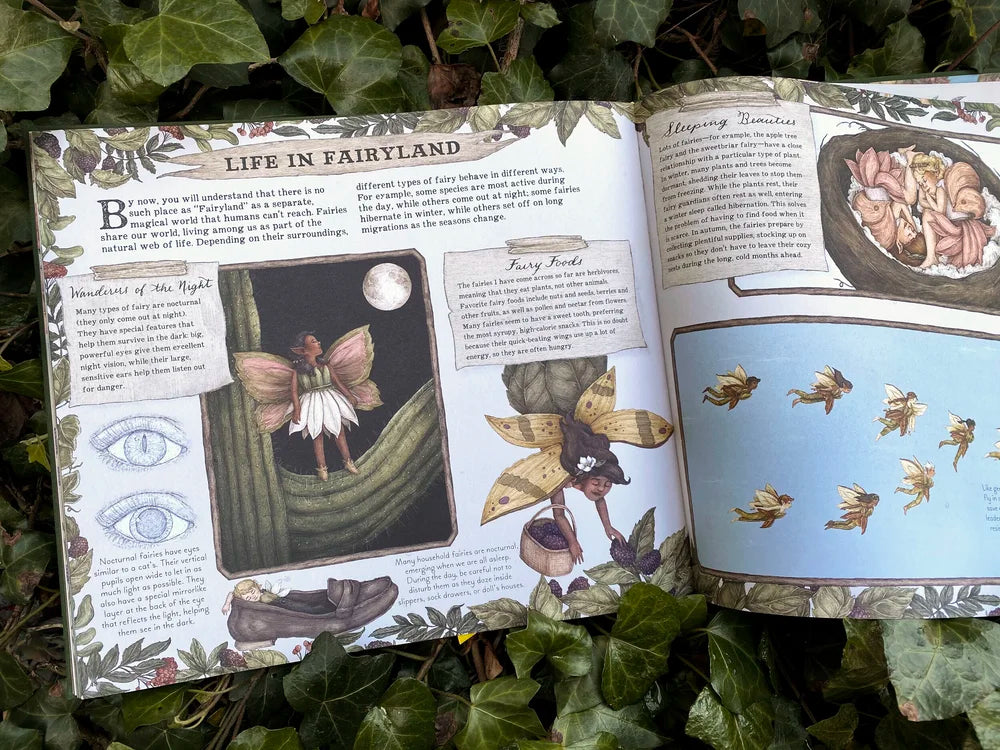 Featuring a gold foil–embossed cloth cover, a ribbon marker, and sprayed gold edges, this gorgeous volume is filled with colorful sketches and precise notes detailing the secret life of fairies and their important role in the natural world.

Inside, you will discover the wide and wonderful array of different species of fairies around the globe and explore where and how they live. Delight in this hidden world as you learn all about:

The anatomy of a fairy (Land-based fairies have individual, separated toes,