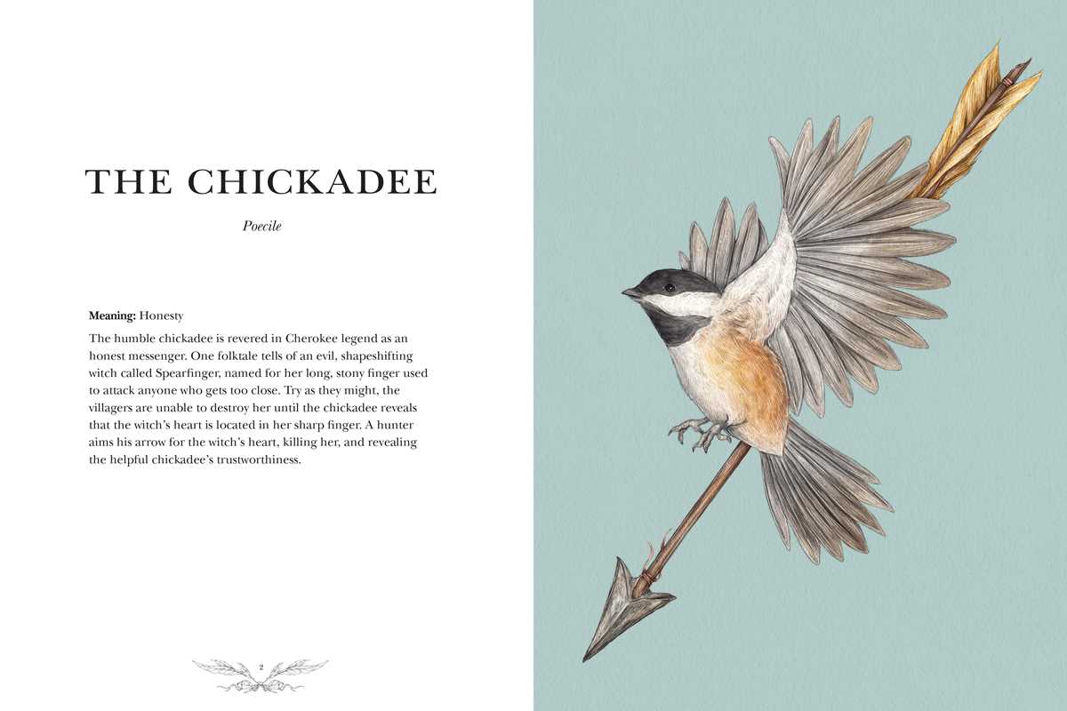 Ornithography By Jessica Roux