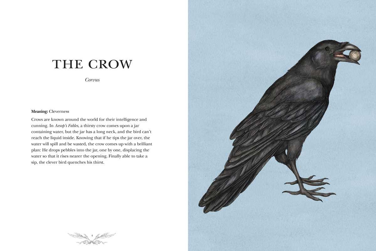 Ornithography By Jessica Roux