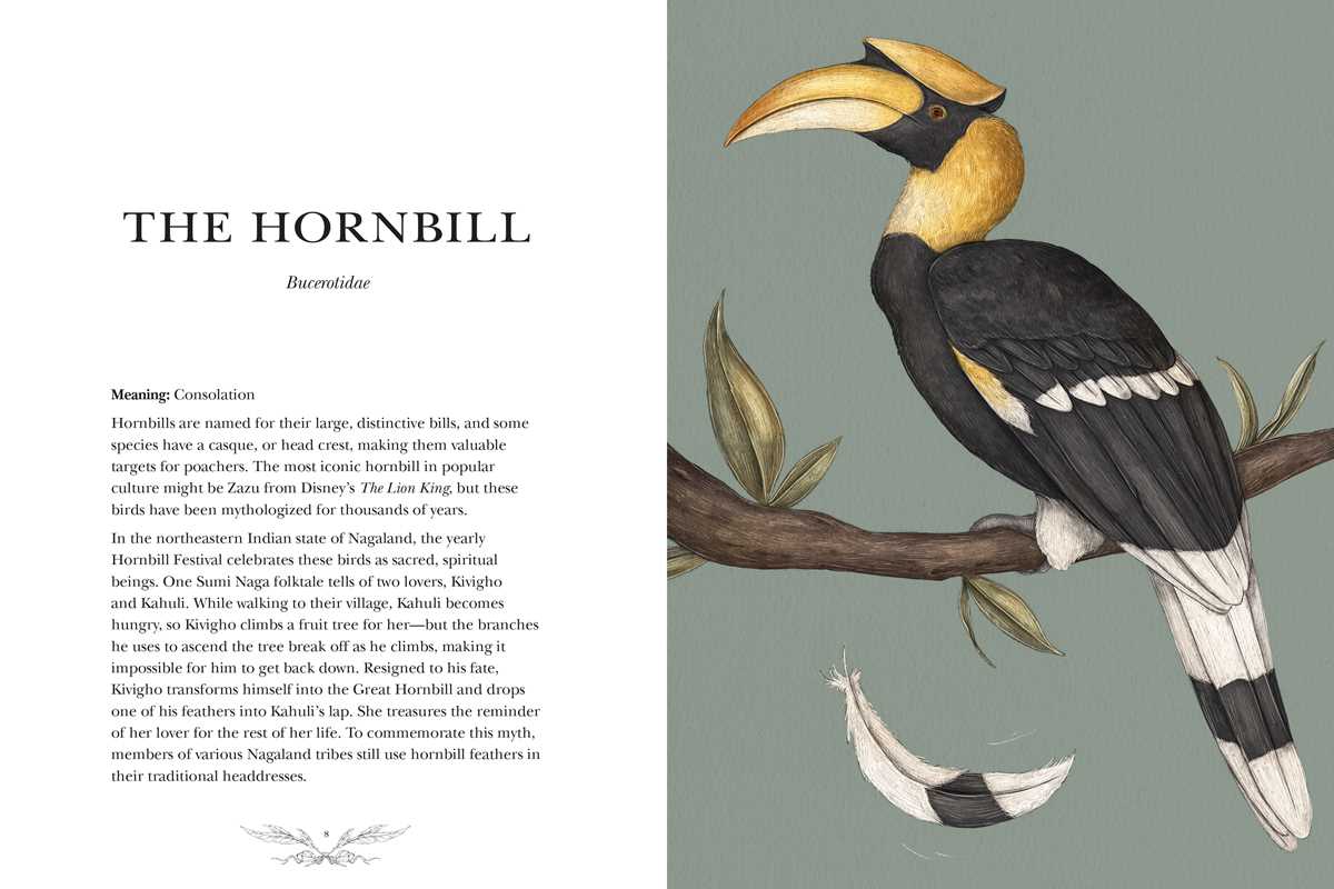 Ornithography By Jessica Roux