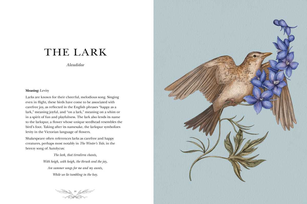 Ornithography By Jessica Roux