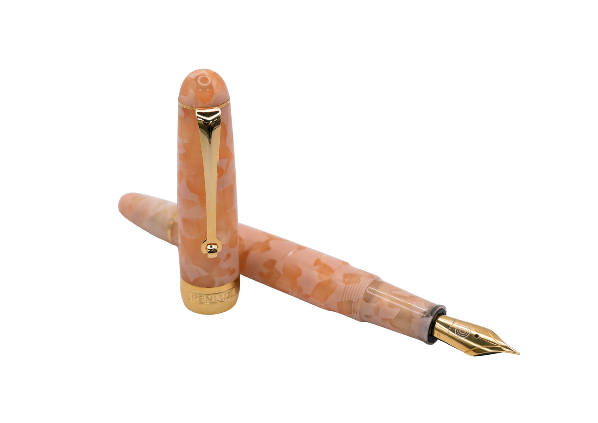 Penlux Masterpiece Delgado Baby Pink Fountain Pen

The collection of Delgado Selected is a premiere version of the Delgado which uses only rare materials and with small production quantity.&nbsp; The Baby Pink was created using PMMA resin and only 70 pieces were produced.&nbsp;

The Baby Pink Delgado has a sophisticated and dreamy look with soft blush, pastel peach, and pearlescent cream flakes suspended in a clear acrylic body. Paired with gold-plated trim and nib, it looks like a piece of polished rose qu