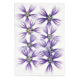 Set de flores y plantas prensadas Malva dulce violeta