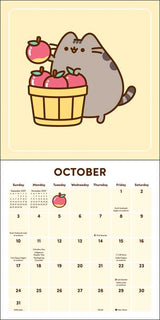 Enjoy 12 months of snacks, naps, and fun with Pusheen the cat!

Smartly sized for cozy corners, busy bulletin boards, or any small spaces, the Pusheen 2027 Mini Wall Calendar adds just the right amount of color, cuteness, and creative organization wherever you need it.

Features include:


7" x 7" (7" x 14" open)—a great size for small spaces
Cover design eliminates need for plastic packaging
Printed on FSCÂ®-certified paper with soy-based ink
Planning spread for September–December 2026
Spans January–Decemb