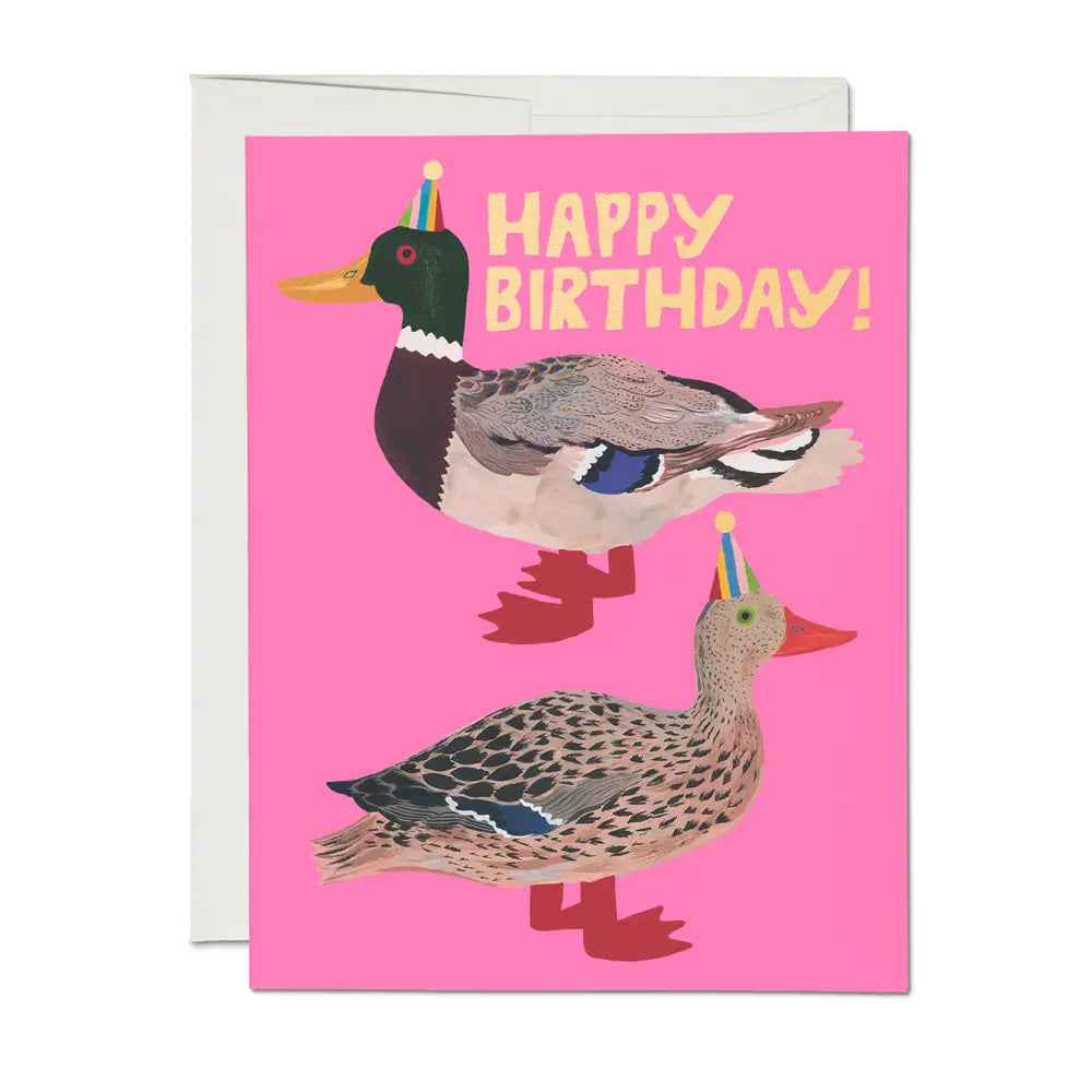 Red Cap Cards - Quacky Birthday Greeting Card

Illustrated by Emily Isabella
A2 - 4.25 x 5.5 inch