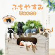 This is a sequel to the popular series "Futchiyasumi Nyanko". Cute kittens of various kinds are relaxing using "Futchi" today... The kittens' innocent poses are cute!

Lineup (6 Variants):

Black x White
Black&nbsp;
American Shorthair
Calico cat
Brown x White