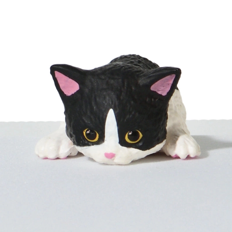 This is a sequel to the popular series "Futchiyasumi Nyanko". Cute kittens of various kinds are relaxing using "Futchi" today... The kittens' innocent poses are cute!

Lineup (6 Variants):

Black x White
Black&nbsp;
American Shorthair
Calico cat
Brown x White