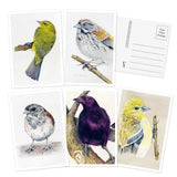 Based on Amy Tan's New York Times best-selling book, The Backyard Bird Chronicles, this collection of 50 postcards features the world renowned author's most beautiful drawings and colorful renderings of the birds that visit her Northern California home.