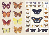 With hundreds of sticky curiosities ready to beautify your junk journal or collage, this book is the perfect companion to The Ransom Note Sticker Book. This cute little sticker book is packed with extraordinary images that can be used for scrapbooks, journals, collaging, and many other creative pursuits.

The stickers are all vintage illustrations. There are 40 spreads of stickers, over 600 altogether, presented in categories and interspersed with quirky vintage backgrounds. Examples include: Vintage cute t