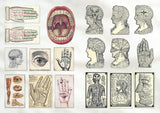 With hundreds of sticky curiosities ready to beautify your junk journal or collage, this book is the perfect companion to The Ransom Note Sticker Book. This cute little sticker book is packed with extraordinary images that can be used for scrapbooks, journals, collaging, and many other creative pursuits.

The stickers are all vintage illustrations. There are 40 spreads of stickers, over 600 altogether, presented in categories and interspersed with quirky vintage backgrounds. Examples include: Vintage cute t