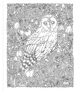 Calling all lovers of eerie aesthetics! This is your invitation to enter a delightfully dark world of pretty poisons, curious crystals, moon bunnies, freaky frogs, magical moths, mystical mushrooms, haunted trinkets, and unbound body parts. Each collage-style page of The Spooky Doodle Club Coloring Book is packed with hand drawn details waiting to be brought to life (or maybe even back from the dead) with a rainbow of colors.