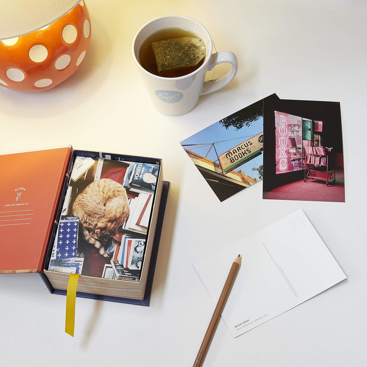 This Is My Bookstore Postcard Box