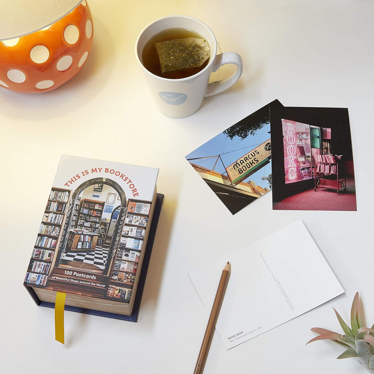 This Is My Bookstore Postcard Box