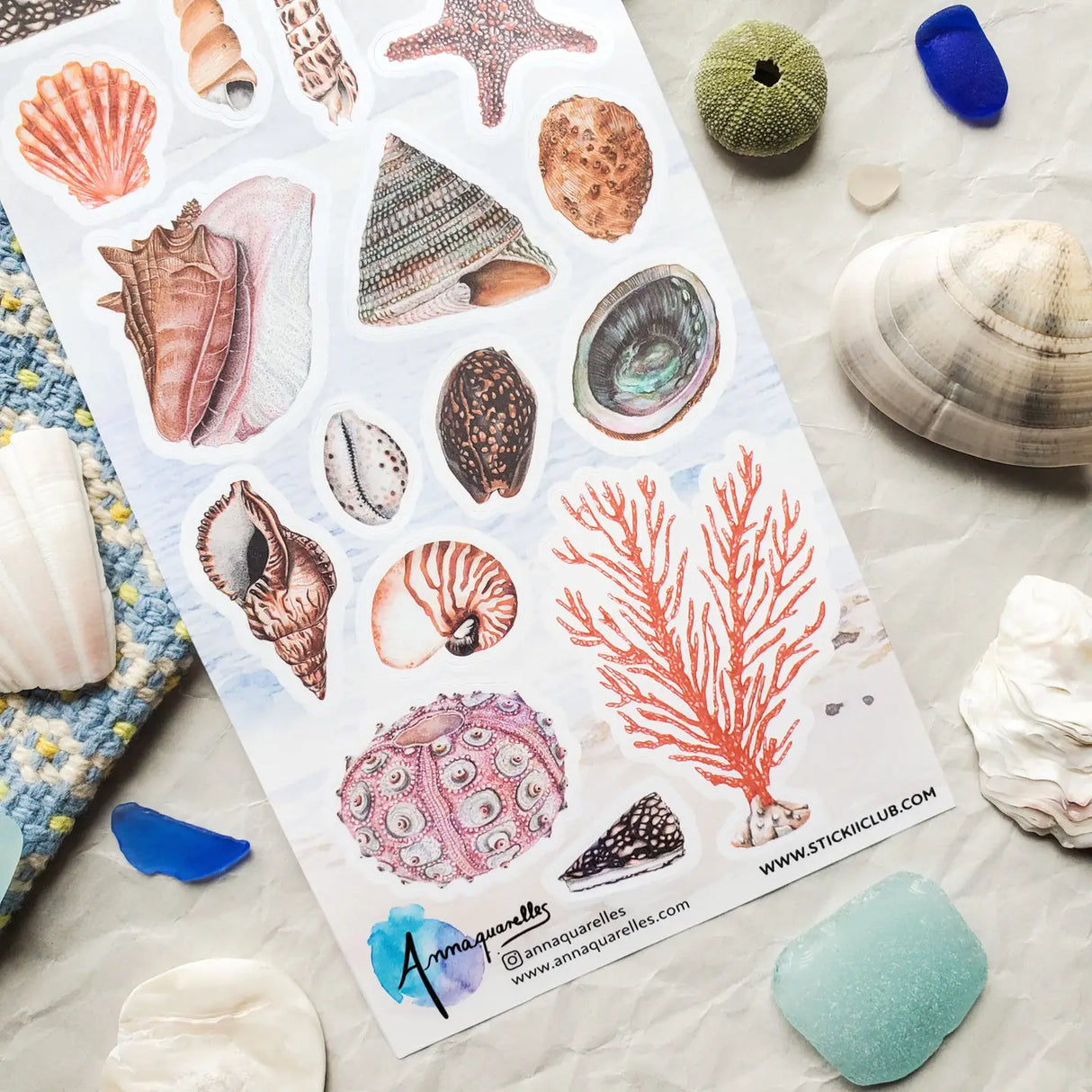 🐚🌊 Drift ashore into @annaquarelles’s beautiful collection of seaside treasures. Delicate seashells, branching coral, a rosy sea urchin, and a sparkling starfish come together like keepsakes gathered from a walk along the coast. Painted with soft watercolor detail and full of natural ocean charm, this sheet will bring a splash of coastal magic to your pages.

Art by: @annaquarelles