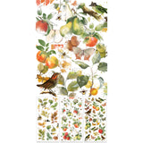 Juego de transferencias para frotar con diseño botánico Vintage Orchard