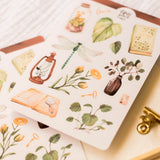 Paper sticker sheets have been core product of Wild Pencil Studio and loved by many in the last few years. Each decorated with my own original watercolor or gouache illustration, they are perfect for bullet journals, planners, envelopes or various other crafts!