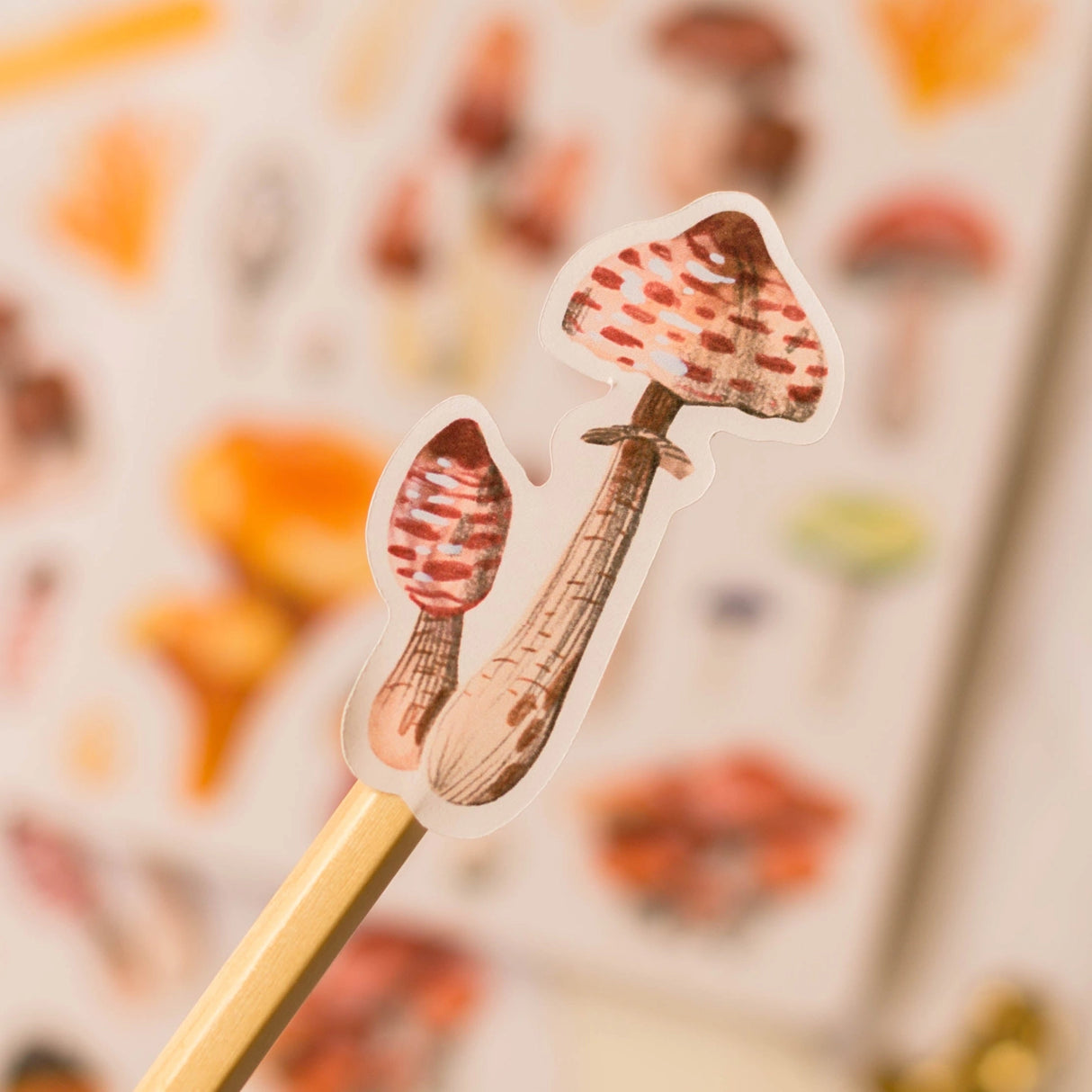 Wild Pencil Studio Sticker Sheet - Mushrooms