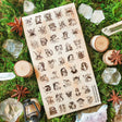  A curious gathering of tiny forest folk fills this sheet, from winged fae and horned creatures to mushroom dwellers, leafy little beings, and a few faces that are wonderfully hard to classify. Delicate sepia linework gives each character its own personality, creating an enchanting collection that feels as though these secretive little residents have been hiding among the moss all along.

One sticker sheet is included.
Top Coating: None
Adhesive Layer: Paper
Backing Layer: Paper
Size: 6.69"x3.54"
Weight-0.3