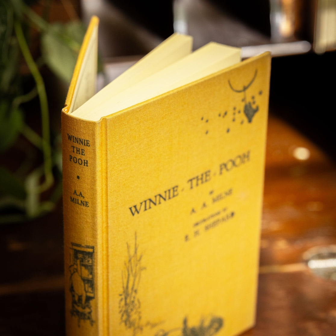 Diario de Winnie-The-Pooh