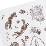 Archer and Olive Acrylic Stamps: Forest Findings