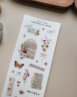 Sarica Studio Compositions 05: Whimsy