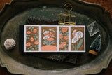 OURS Studio Under the Night Sky Letterpress Book