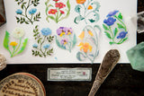 OURS Studio The Wayfarer's Journal PET Tape