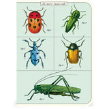 Juego de minicuaderno de insectos y bichos, paquete de 3 Cavallini &amp; Co. 