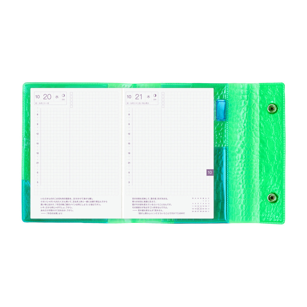 Hobonichi Techo A6 Cover beautiful people: Nothing to Hide (Green)
