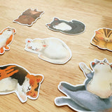 PaperaicaShop Lazy Cats Sticker Pack