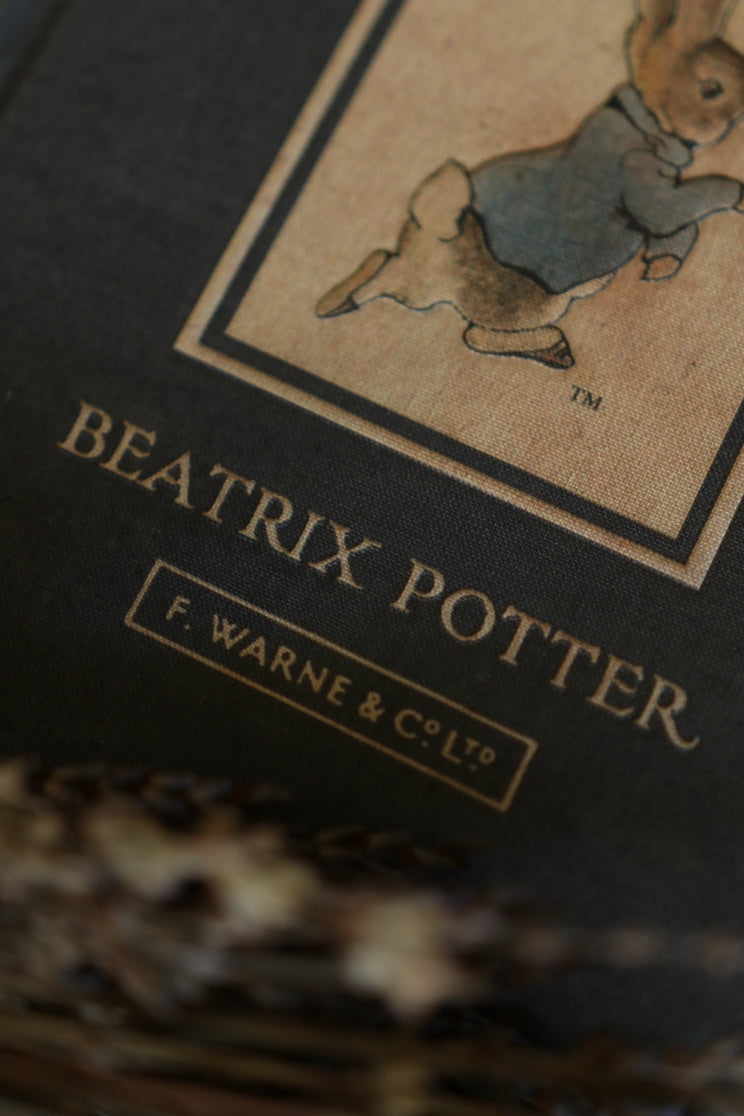 Diario de lectura El cuento de Peter Rabbit