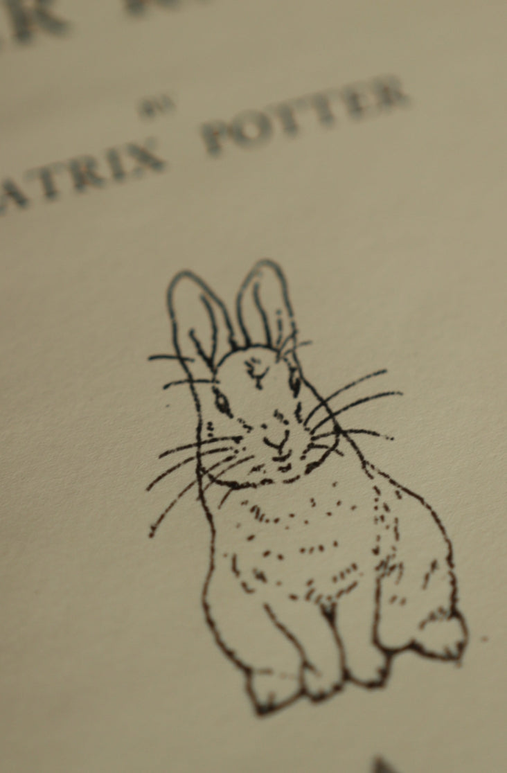 Diario de lectura El cuento de Peter Rabbit
