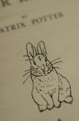 Diario de lectura El cuento de Peter Rabbit