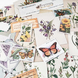 Curators Essential Ephemera Pages 45pcs 49 and Market