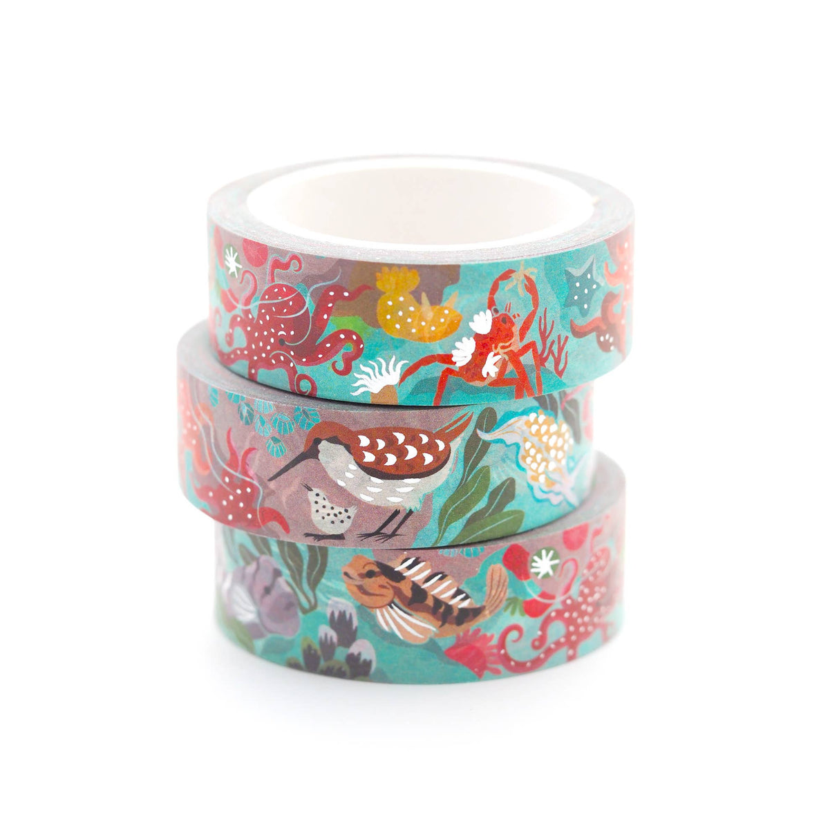 Cinta washi de Tidepool 